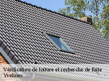Vérification de toiture et recherche de fuite Yvelines 