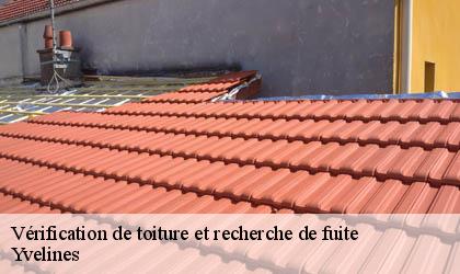 Vérification de toiture et recherche de fuite Yvelines 