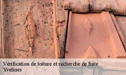 Vérification de toiture et recherche de fuite Yvelines 