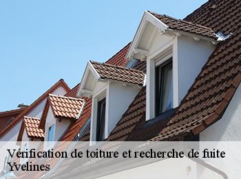 Vérification de toiture et recherche de fuite