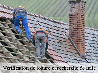 Vérification de toiture et recherche de fuite Yvelines 