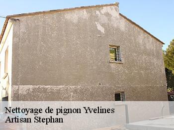 Nettoyage de pignon 78 Yvelines  Artisan Stephan