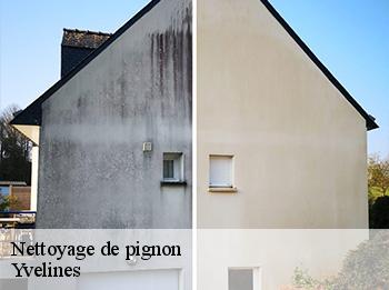 Nettoyage de pignon Yvelines 