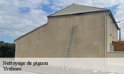 Nettoyage de pignon Yvelines