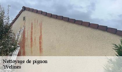 Nettoyage de pignon Yvelines