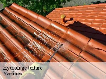 Hydrofuge toiture