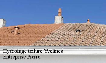 Hydrofuge toiture 78 Yvelines Entreprise Pierre