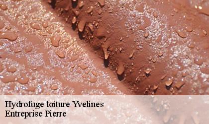 Hydrofuge toiture