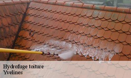 Hydrofuge toiture Yvelines