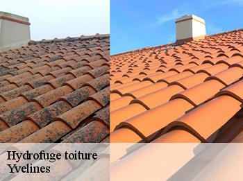 Hydrofuge toiture Yvelines 