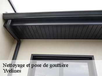 Nettoyage et pose de gouttière