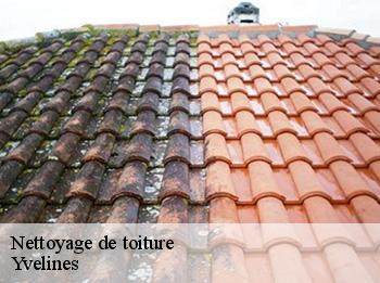 Nettoyage de toiture Yvelines 