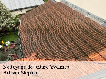Nettoyage de toiture