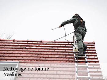 Nettoyage de toiture Yvelines 