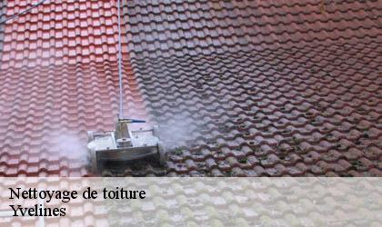 Nettoyage de toiture