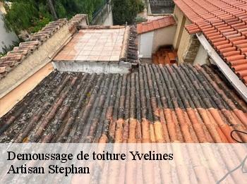 Demoussage de toiture 78 Yvelines  Artisan Stephan