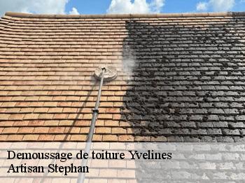 Demoussage de toiture Yvelines 