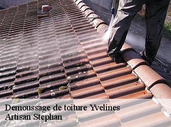 Demoussage de toiture