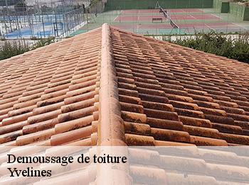 Demoussage de toiture Yvelines 