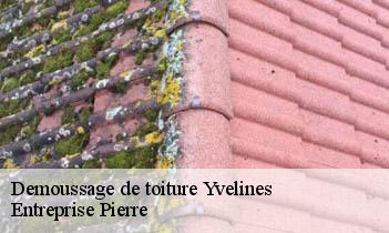 Demoussage de toiture 78 Yvelines Entreprise Pierre
