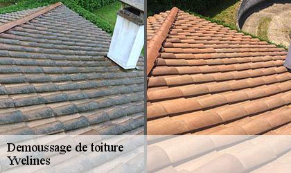 Demoussage de toiture Yvelines