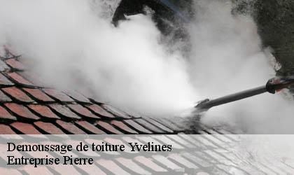 Demoussage de toiture Yvelines