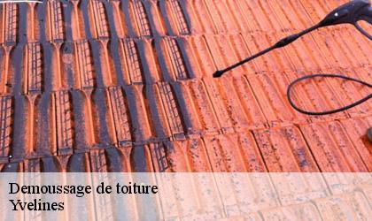 Demoussage de toiture