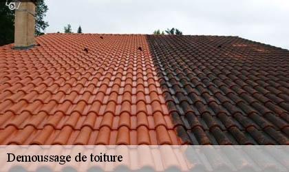 Demoussage de toiture Yvelines