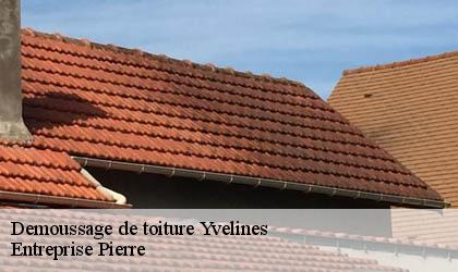 Demoussage de toiture