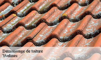 Demoussage de toiture Yvelines