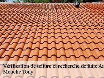 Vérification de toiture et recherche de fuite  andresy-78570 Mouche Tony
