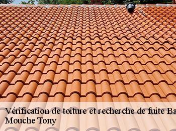 Vérification de toiture et recherche de fuite  bailly-78870 Mouche Tony