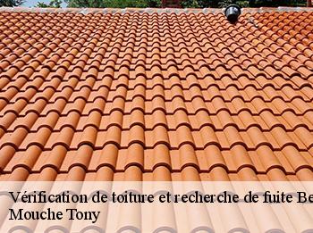 Vérification de toiture et recherche de fuite  behoust-78910 Mouche Tony