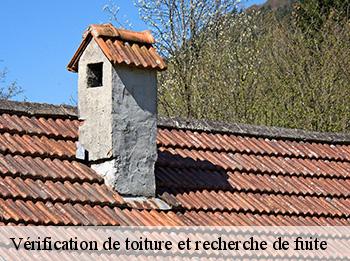 Vérification de toiture et recherche de fuite