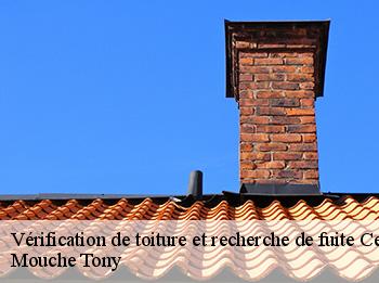 Vérification de toiture et recherche de fuite