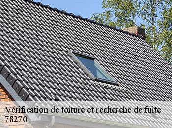 Vérification de toiture et recherche de fuite  78270
