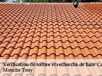Vérification de toiture et recherche de fuite  conflans-sainte-honorine-78700 Mouche Tony