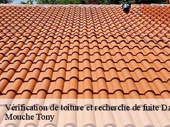 Vérification de toiture et recherche de fuite  davron-78810 Mouche Tony