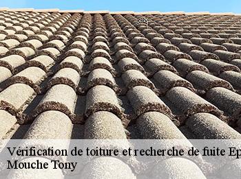 Vérification de toiture et recherche de fuite  78680