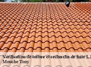 Vérification de toiture et recherche de fuite  l-etang-la-ville-78620 Mouche Tony