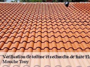 Vérification de toiture et recherche de fuite  flacourt-78200 Mouche Tony