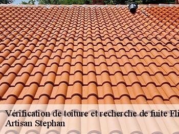 Vérification de toiture et recherche de fuite  flins-neuve-eglise-78790 Artisan Stephan