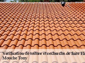 Vérification de toiture et recherche de fuite  flins-sur-seine-78410 Mouche Tony