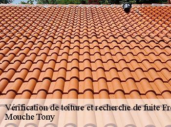 Vérification de toiture et recherche de fuite  freneuse-78840 Mouche Tony