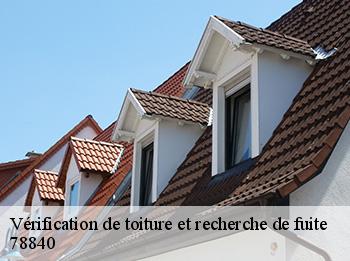 Vérification de toiture et recherche de fuite