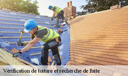 Vérification de toiture et recherche de fuite 78270