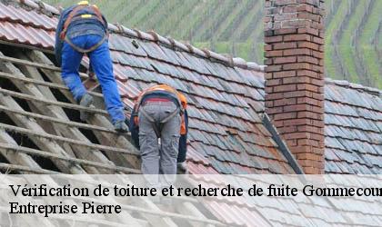 Vérification de toiture et recherche de fuite