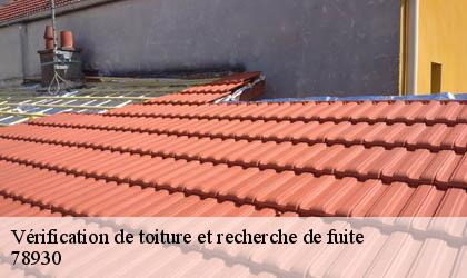 Vérification de toiture et recherche de fuite 78930