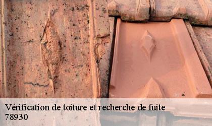 Vérification de toiture et recherche de fuite 78930