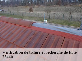 Vérification de toiture et recherche de fuite  78440